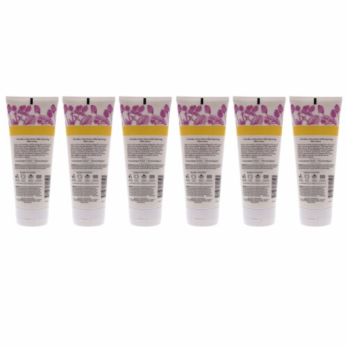 Renewal Refining Cleanser by Burts Bees for Unisex - 6 oz Cleanser - Pack of 6 Perspective: back