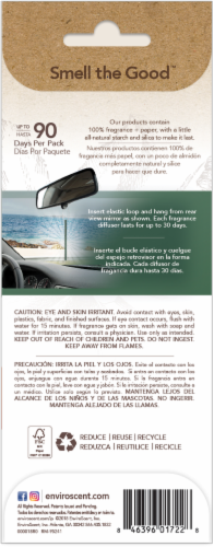 Enviroscent Mountain Mist Auto Stick Air Freshener - Green Perspective: back