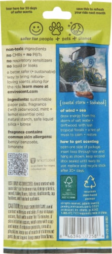 Enviroscent Auto Stix Coastal Storm + Teakwood Car Freshener Perspective: back