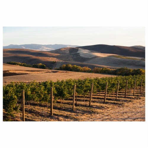 Browne Family Vineyards Brut Rose Bitner Estate Sparkling Wine Perspective: back