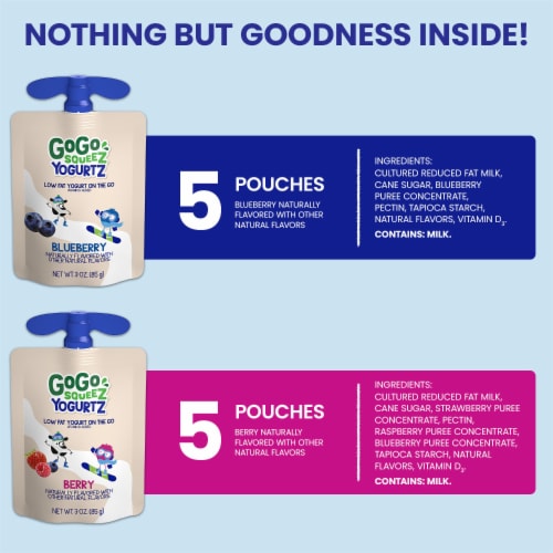 GoGo SqueeZ yogurtZ Blueberry and Berry Portable Fruit and Yogurt Snack Pouches Perspective: back