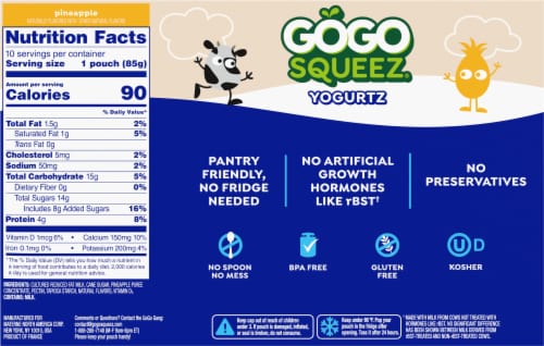 GoGo Squeez® Yogurtz Pineapple Pouches Perspective: back