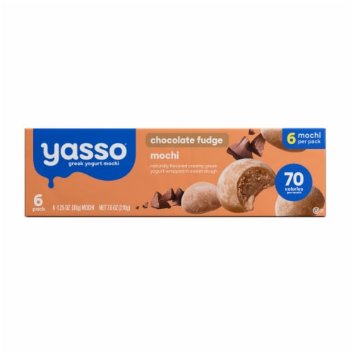 Yasso Frozen Greek Yogurt Chocolate Mochi Perspective: back