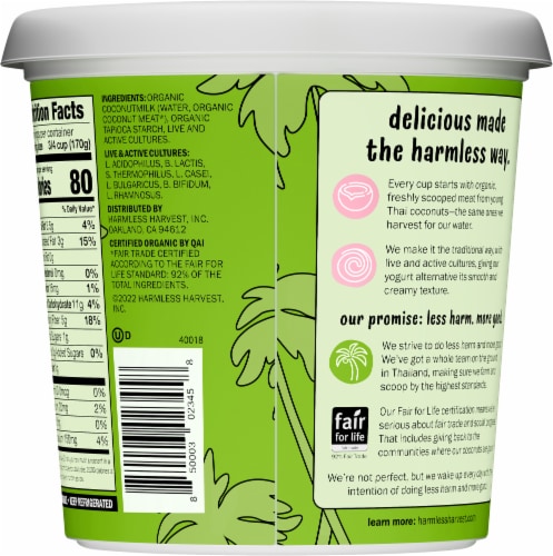 Harmless Harvest® Plain Organic Dairy Free Coconut Yogurt Tub Perspective: back
