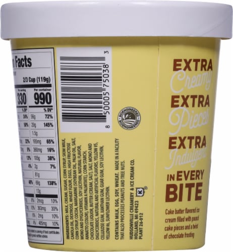 Hudsonville Cake Batter Ice Cream Pint Perspective: back