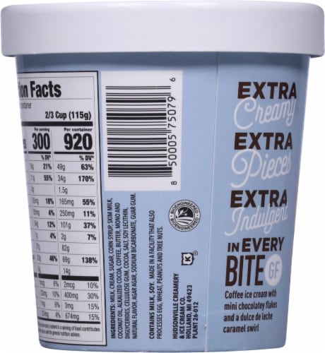 Hudsonville Caramel Coffee Chip Ice Cream Pint Perspective: back