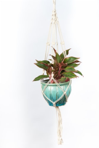 Primitive Planters Cotton Plain Cord Plant Hanger Perspective: back