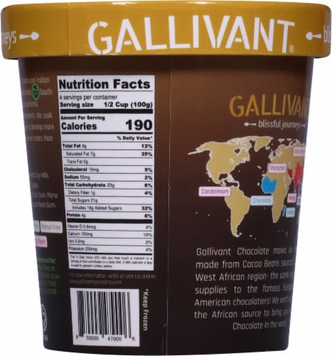 Gallivant® Chocolate Mawa Ice Cream Perspective: back