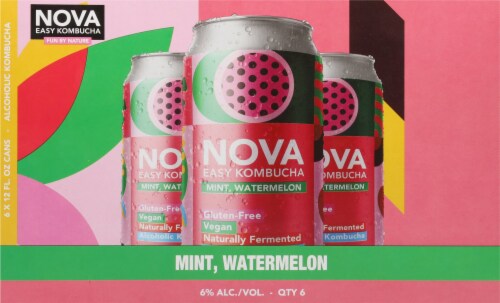 Nova Mint Watermelon Kombucha Alcoholic Beverage Perspective: back