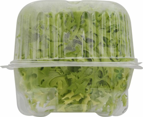 Kalera Living Hydroponic Frisee Lettuce Perspective: back