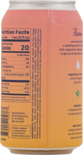 Recess Mood Grapefruit Tangerine Magnesium and Adaptogen Infused Sparkling Water Can Perspective: back