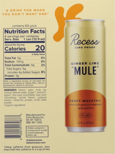 Recess Zero Proof Ginger Lime "Mule" Perspective: back