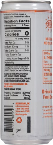 Ardor Energy Tropical Mango Sparkling Water Energy Drink Can Perspective: back