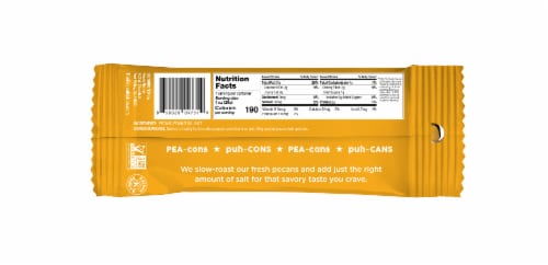 Pecan Nation Roasted & Salted Snacking Pecan Pieces Perspective: back