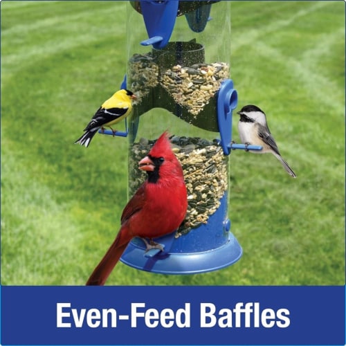 Natures Way NWWPFFB19 Wide Funnel Flip Top Bird Feeder Perspective: back
