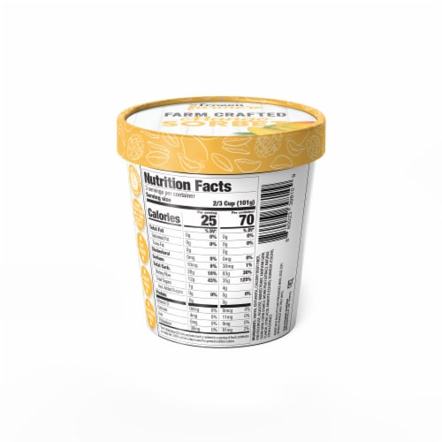The Frozen Farmer™ Crafted Mango Sorbet Perspective: back