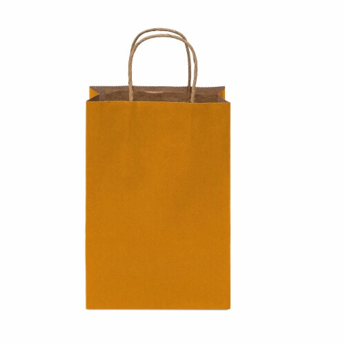 Prime Line Packaging Colored Kraft Paper Bags with Handles Retail Gift Bags Bulk 50 Pcs 6x3x9 Perspective: back