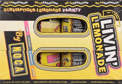Noca Boozy Lemonade Variety Pack Perspective: back