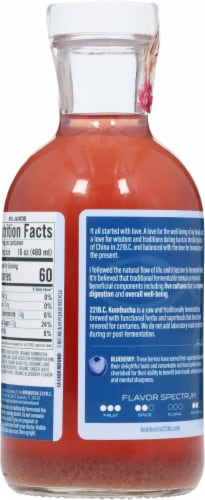 Kombucha 221 B.C.® Blueberry + Ginger Kombucha Perspective: back