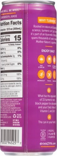 Zyn Immunity & Recovery Pomegranate Cranberry Turmeric Wellness Drink Perspective: back
