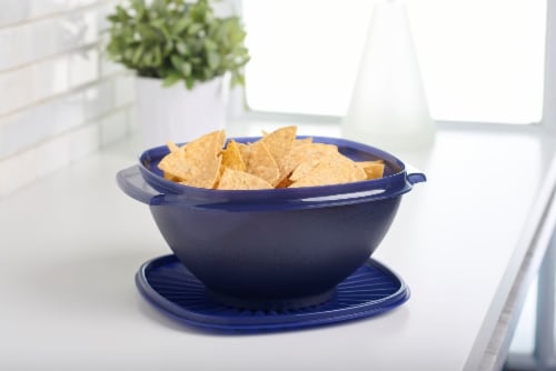 Tupperware Heritage Square Bowl - Arctic Night Perspective: back