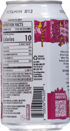 Humm® Zero Sugar Raspberry Lemonade Probiotic Kombucha Perspective: back