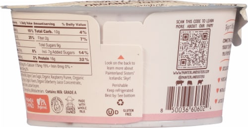 Painterland Sisters™ Meadow Berry 6% Milkfat Organic Skyr Yogurt Cup Perspective: back