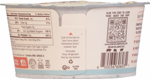 Painterland Sisters™ Blueberry-Lemon Organic Skyr Yogurt Cup Perspective: back