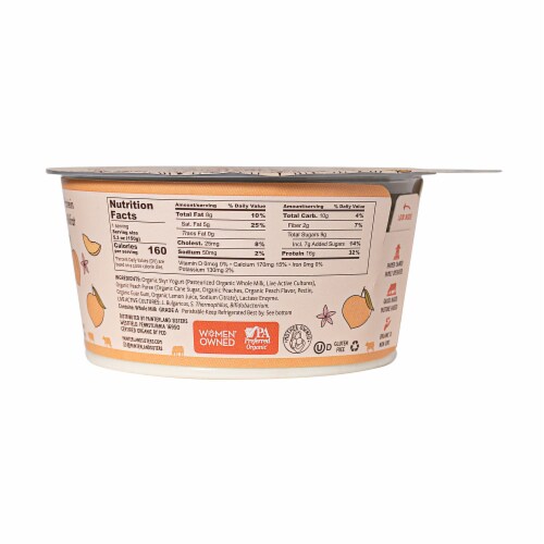 Painterland Sisters™ Peach Organic Skyr Yogurt Cup Perspective: back