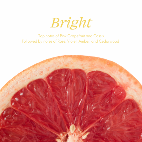 Safely Bright Universal Cleaner Perspective: back