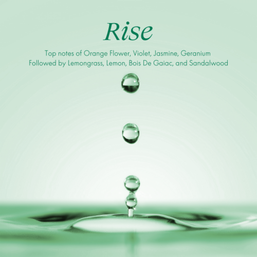 Safely Rise Universal Cleaner Perspective: back