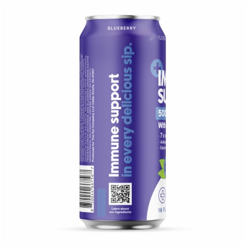 Ryl Blueberry Immune Support Iced Tea Perspective: back
