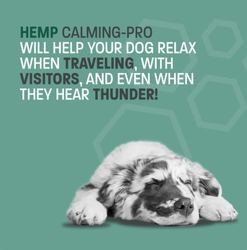 Best anxiety chews for dogs sales
