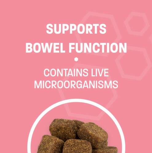 Pet Health Pros - Advanced Probiotics for Dogs - Promotes Happy Gut, Happy Dog Perspective: back