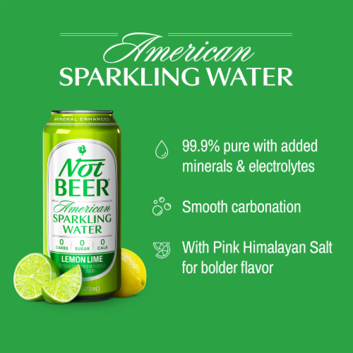 Not Beer® Lemon Lime American Sparkling Water Cans Perspective: back
