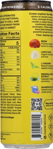 Melting Forest™ Mushroom D-Stress Coconut Pineapple Sparkling Adaptogenic Drink Perspective: back