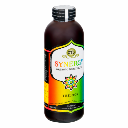 GT's Living Foods Synergy Organic Trilogy Kombucha Perspective: back