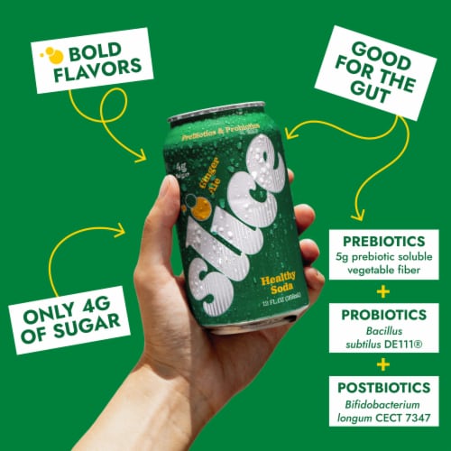 Slice Ginger Ale Healthy Soda Perspective: back