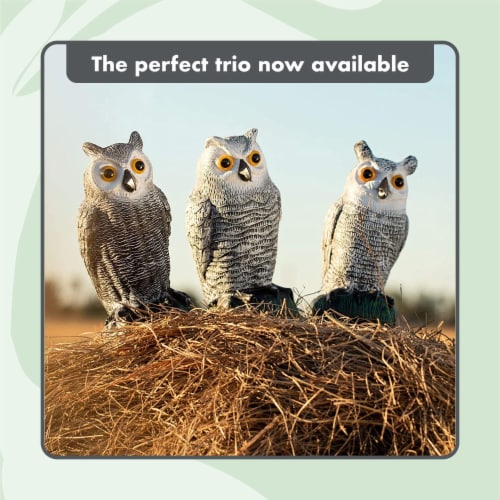 BIRD BLINDER Fake Owl Decoy Set of 3 Gray - Scare Birds Away! Perspective: back