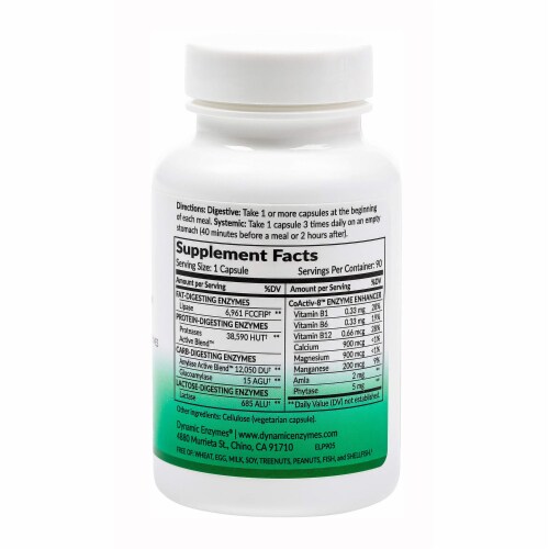 Dynamic Enzymes Lipase Plus Fat Digestion Enzymes, 90 Capsules Perspective: back
