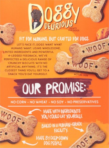 Doggy Delirious Harvest Sweet Potato Flavor Dog Treats, 16 oz box, case pack = 6 Perspective: back