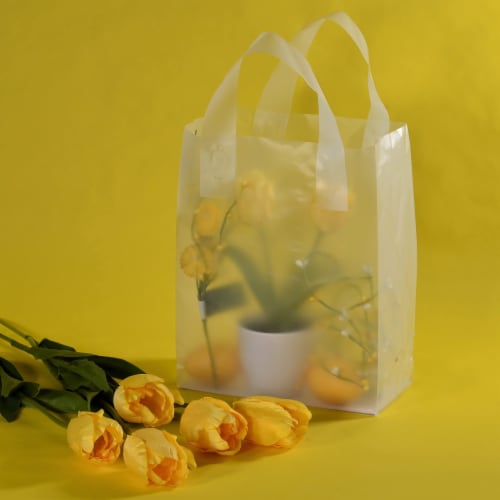 100ct Prime Line Packaging Frosted White Plastic Bags with Handles, Mini Clear Gift Bags 6x3x9 100 Pack