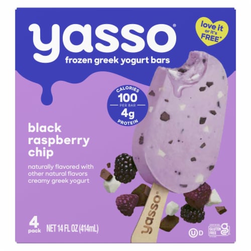 Yasso Black Raspberry Chip Frozen Greek Yogurt Bars Perspective: back
