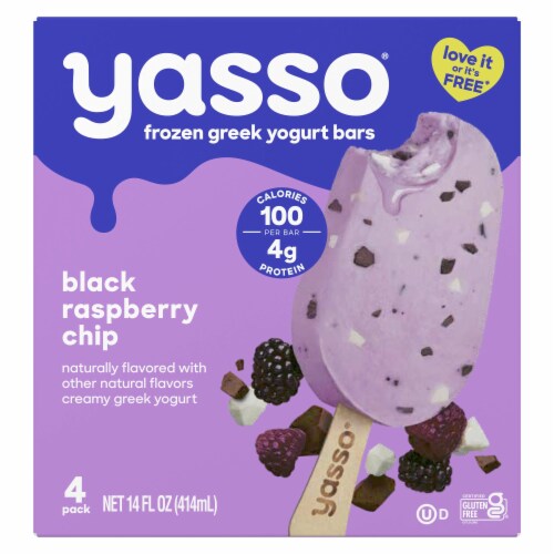 Yasso Black Raspberry Chip Frozen Greek Yogurt Bars Perspective: back