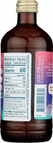 Brew Dr.® Love Organic Kombucha Bottle Perspective: back