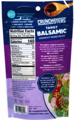 Crunchsters® Gluten Free Sprouted Smokey Balsamic Protein Snacks Perspective: back