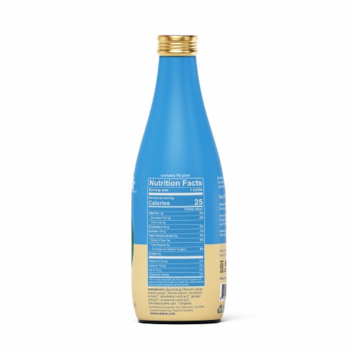 Sunwink™ Detox Ginger Sparkling Tonic Perspective: back