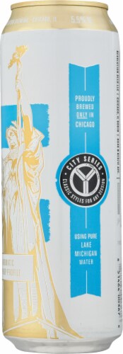 Revolution Brewing Fist City Chicago Pale Ale Craft Beer Can Perspective: back