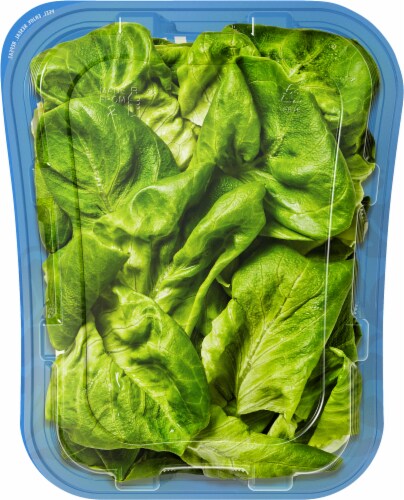 Bowery Baby Butter Leafy Greens Perspective: back