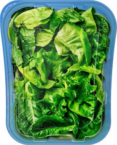 Bowery Mixed Greens Perspective: back